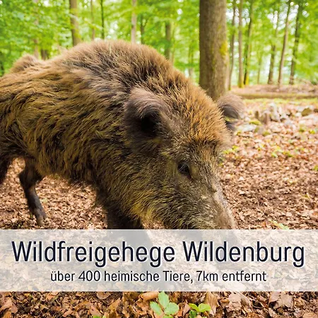 Ferienhaus 4 Sterne Zum Weiher *