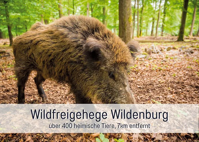 Casa vacanze 4 Sterne 